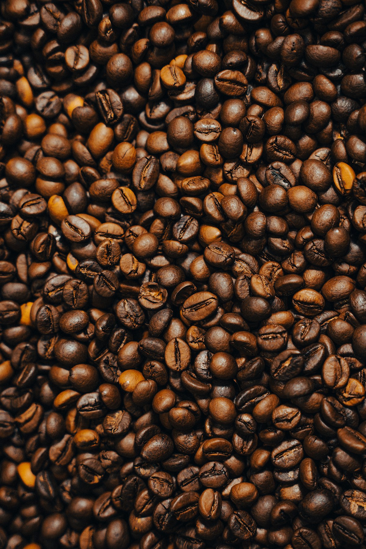 Freshly roasted coffee beans, their volatile compounds still intact before grinding
