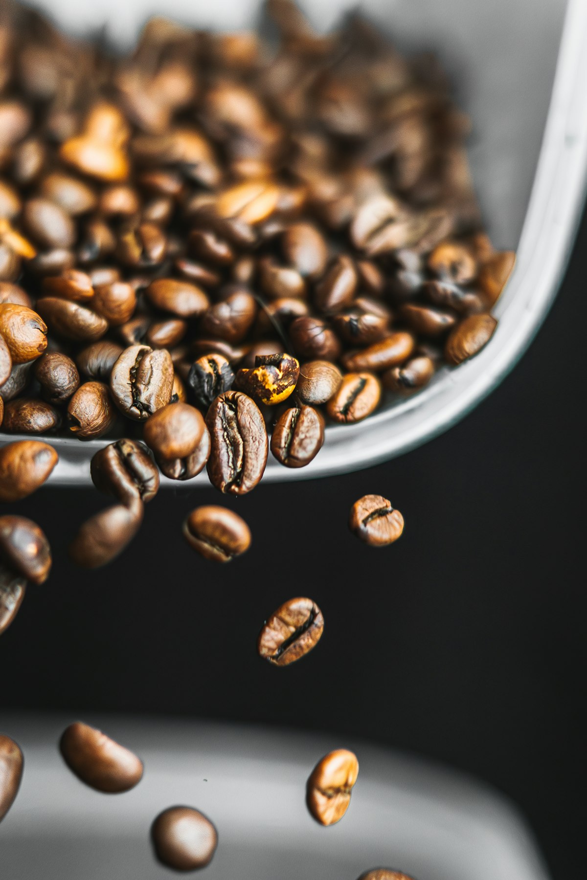 Roasted coffee beans in a white ceramic cup, demonstrating the oils and aromatics that oxidation attacks